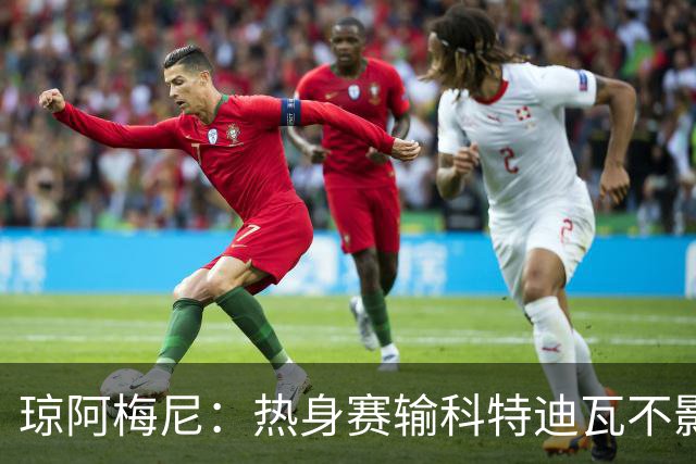 琼阿梅尼：热身赛输科特迪瓦不影响法国，可以说是一次小小的提醒